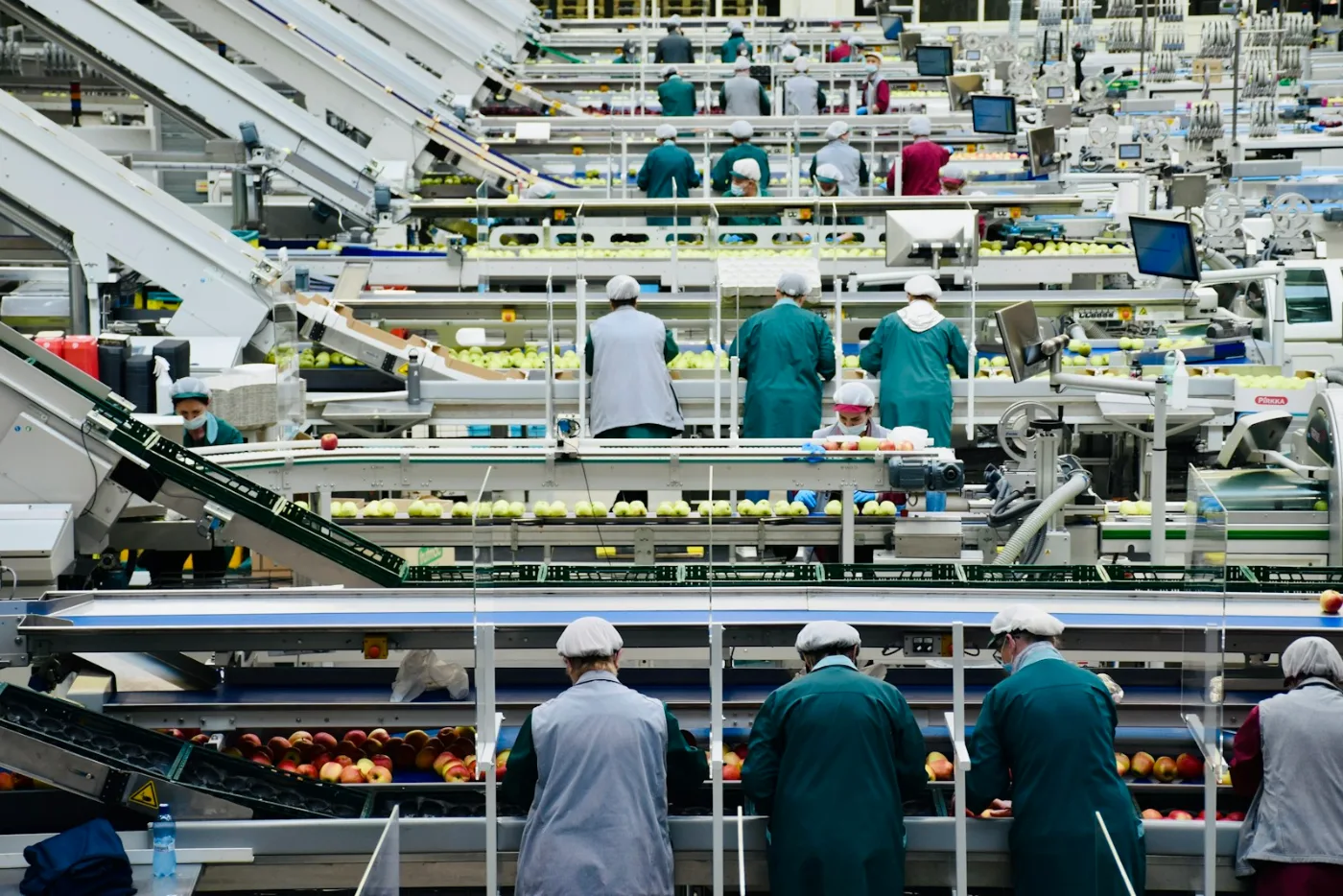 Reparto produttivo di un'impresa strutturata
